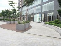 Cong trinh tuong ngoai va canh quan Bao Gia Q7